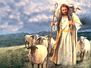 84279Good shepherd, by Del Parson Wallpaper__yvt2